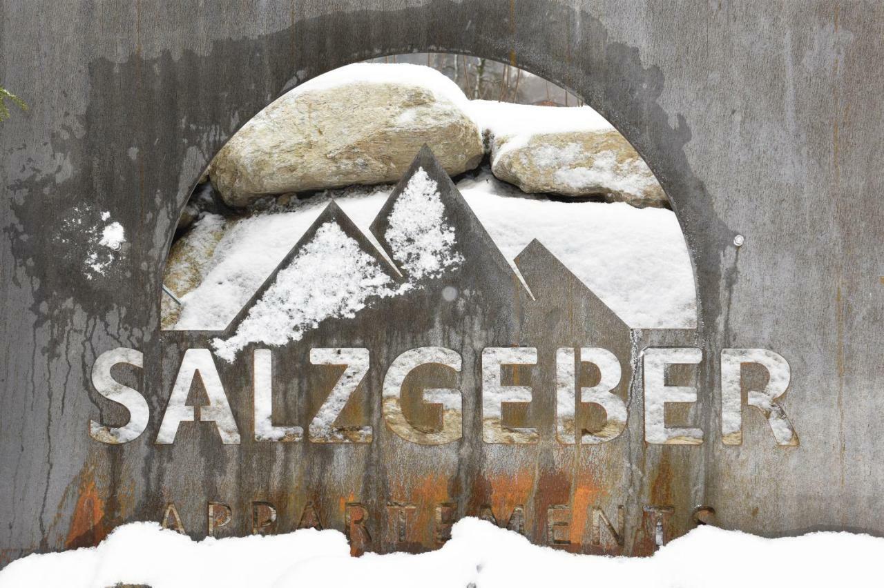 Salzgeber Appartements سانكت غالنكرش المظهر الخارجي الصورة